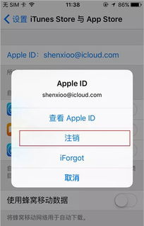 苹果手机下载的游戏闪退怎么办,轻松应对常见问题(图3) 苹果手机下载的游戏闪退怎么办,轻松应对常见问题(图3)