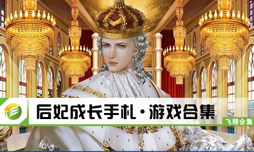 游戏后妃,揭秘游戏中的皇权与爱情纠葛(图2) 游戏后妃,揭秘游戏中的皇权与爱情纠葛(图2)