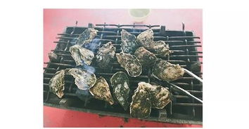海蛎游戏,探索海洋奥秘的奇幻之旅(图1) 海蛎游戏,探索海洋奥秘的奇幻之旅(图1)