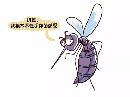 蚊子咬游戏,夏日狂欢的刺激冒险之旅(图1) 蚊子咬游戏,夏日狂欢的刺激冒险之旅(图1)