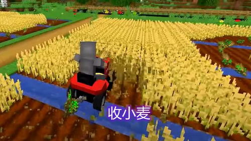 种子生存游戏,生态平衡与进化法则的生存挑战(图3) 种子生存游戏,生态平衡与进化法则的生存挑战(图3)