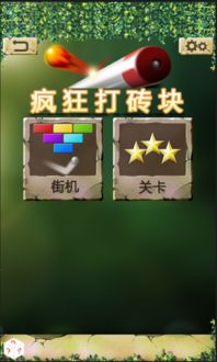 蛇蛇打砖块 (图2)