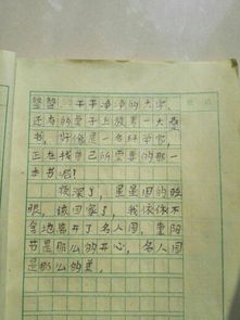 写一篇游戏日记怎么写,记录我的虚拟冒险之旅(图1)