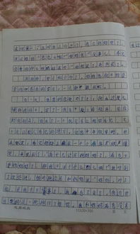 写一篇游戏日记怎么写,记录我的虚拟冒险之旅(图3)