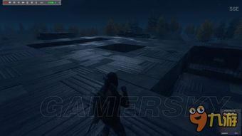 h1z1已建立的游戏,H1Z1生存竞技游戏深度解析(图3) h1z1已建立的游戏,H1Z1生存竞技游戏深度解析(图3)