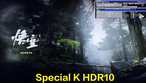 hdr游戏黑屏,揭秘技术难题背后的挑战与解决方案(图2)