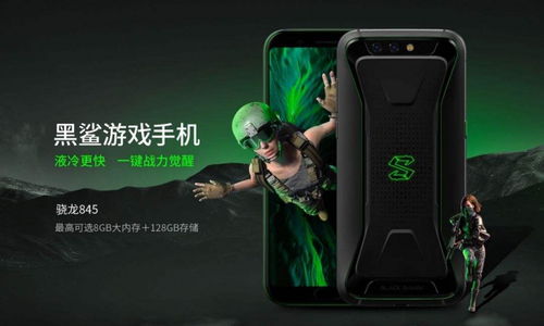 游戏系列手机,游戏系列手机带你领略无尽冒险(图2) 游戏系列手机,游戏系列手机带你领略无尽冒险(图2)