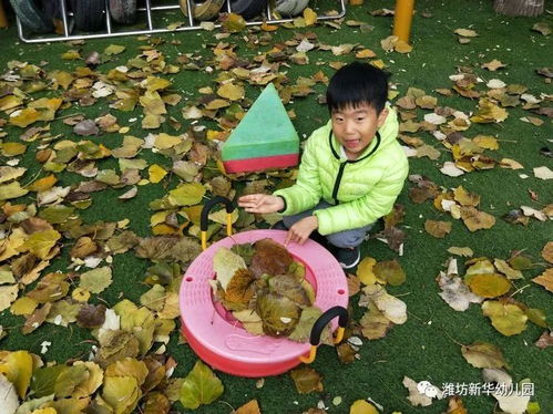 追落叶游戏,一场别开生面的虚拟冒险之旅(图3) 追落叶游戏,一场别开生面的虚拟冒险之旅(图3)