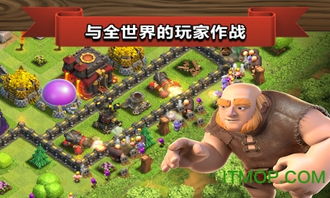霸王助手游戏,一统天下的传奇之旅(图2)