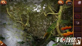 好重的石头它后面有什么游戏,探寻神秘游戏世界的奇幻冒险(图1)