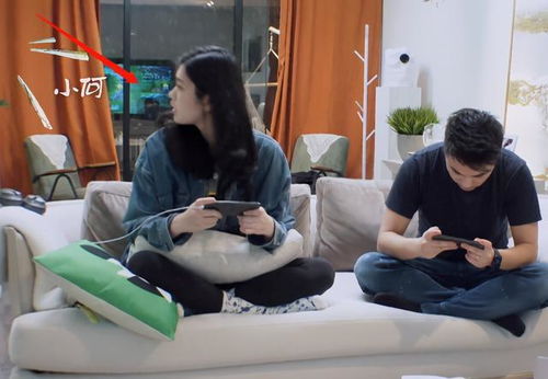 温州夫妻游戏,游戏中的甜蜜生活与智慧挑战(图3)