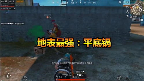 瓜皮哥游戏,带你领略不一样的游戏世界(图2)