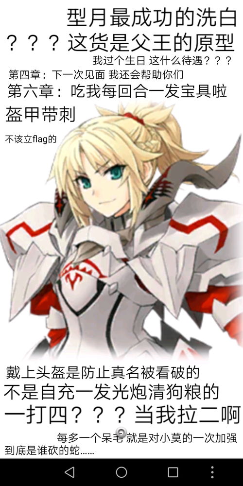 fgo游戏角色,Fate/Grand Order角色深度解析(图3)