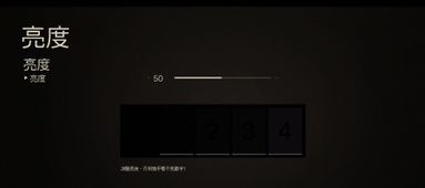 亮度游戏,亮度游戏深度解析(图1)