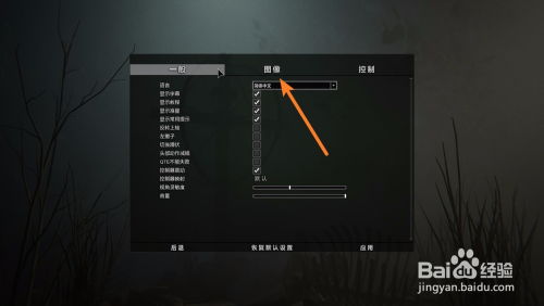 亮度游戏,亮度游戏深度解析(图3)