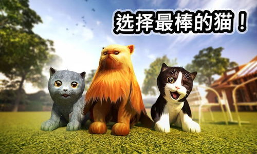 剩下小猫游戏,快乐成长之旅(图2) 剩下小猫游戏,快乐成长之旅(图2)