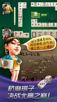 牌狗游戏,一场智慧与运气的精彩对决(图1)