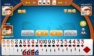 癞子游戏充值,揭秘虚拟世界的消费秘密(图1)