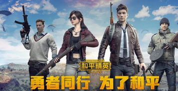 像和平精英的游戏的游戏,勇者无畏的战场传奇(图3) 像和平精英的游戏的游戏,勇者无畏的战场传奇(图3)