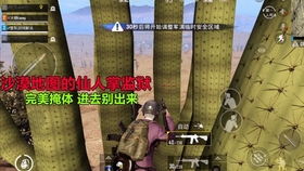 冰糖姐游戏,解锁无尽乐趣(图1)