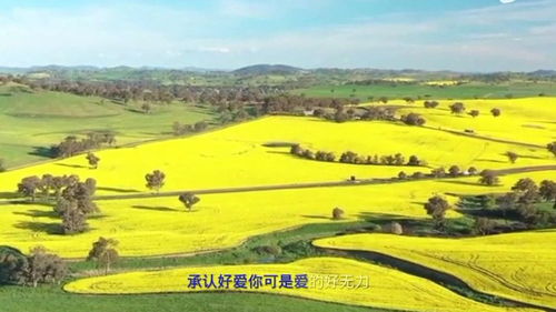 当桌面游戏,欢乐时光的无限可能(图3)