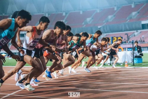 老田径游戏,老田径游戏中的激情与挑战(图2)