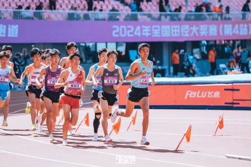 老田径游戏,老田径游戏中的激情与挑战(图3)