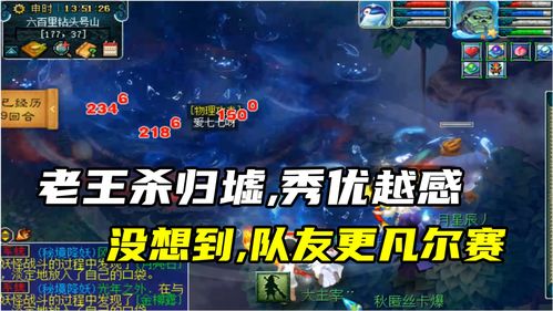 老王游戏号,揭秘游戏世界中的传奇之旅(图2)