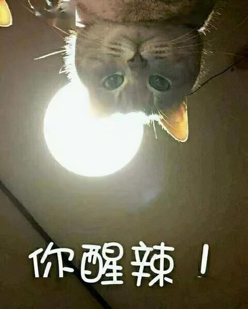 游戏你醒了,探寻虚拟世界与现实生活的交织之旅(图1)