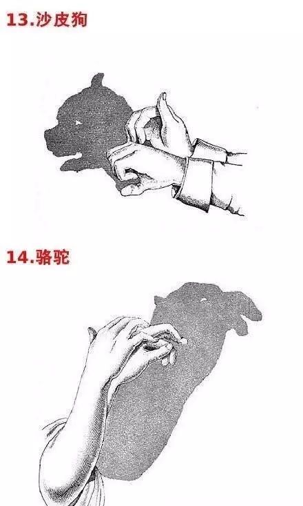 手影戏游戏,手影戏游戏魅力探秘(图1)