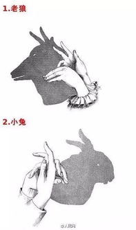 手影戏游戏,手影戏游戏魅力探秘(图3)