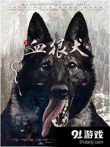 狼犬游戏,揭秘团队协作与生存智慧(图3)