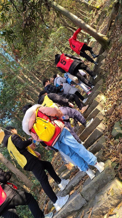 团建爬山游戏,共享绿色征程——团建爬山游戏精彩回顾”(图2)