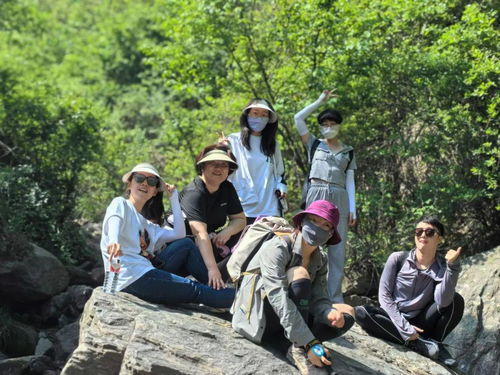团建爬山游戏,共享绿色征程——团建爬山游戏精彩回顾”(图3)
