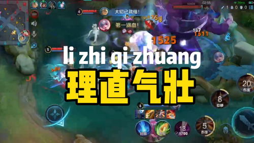 打游戏选,探索个性与策略的完美融合(图1)
