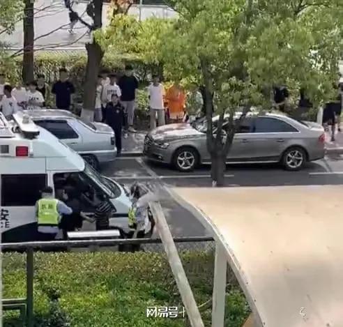 打栾游戏,感受策略魅力(图1)