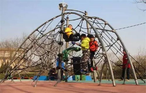 室外游戏攀爬,攀爬游戏中的乐趣与挑战(图1) 室外游戏攀爬,攀爬游戏中的乐趣与挑战(图1)