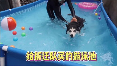 买游戏池,打造个性化游戏池攻略(图1) 买游戏池,打造个性化游戏池攻略(图1)