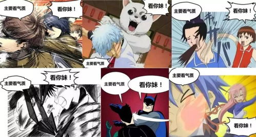 霸宅游戏,开启奇幻冒险之旅(图2) 霸宅游戏,开启奇幻冒险之旅(图2)