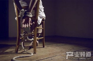 绑架污游戏,揭秘绑架污游戏的黑暗世界(图2) 绑架污游戏,揭秘绑架污游戏的黑暗世界(图2)