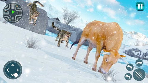 雪豹说游戏,探寻虚拟世界的神秘魅力(图3) 雪豹说游戏,探寻虚拟世界的神秘魅力(图3)