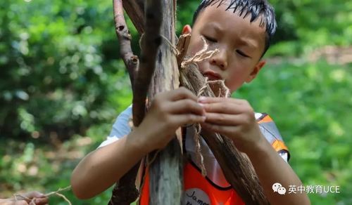 体能游戏插图,体能游戏中的活力瞬间(图2) 体能游戏插图,体能游戏中的活力瞬间(图2)