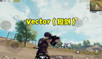 游戏枪外号,探寻游戏枪械的神秘外号(图3) 游戏枪外号,探寻游戏枪械的神秘外号(图3)