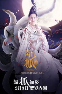 唯美狐狸游戏,唯美狐狸游戏的奇幻之旅(图2) 唯美狐狸游戏,唯美狐狸游戏的奇幻之旅(图2)