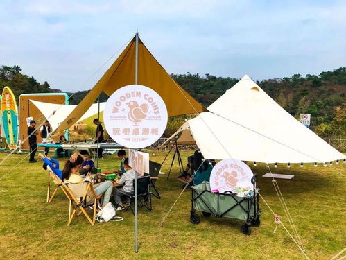玩露营游戏,露营游戏中的户外冒险之旅(图2)