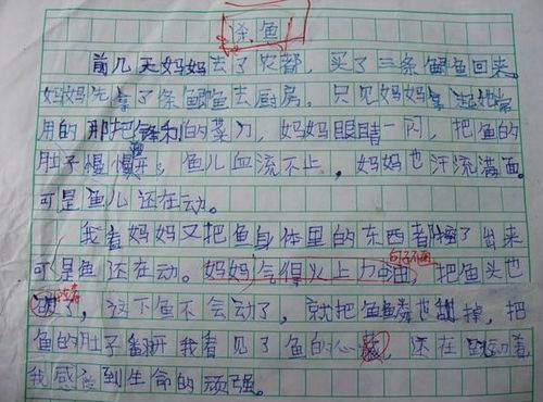 笑话游戏作文,笑话游戏中的欢乐时光(图1)