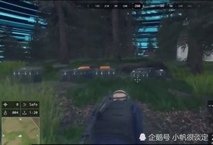 鸡破产游戏,一场啼笑皆非的金融冒险之旅(图2)