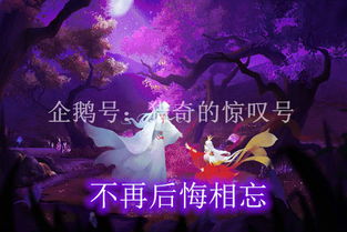 游戏相识分开,从相识到分别的青春轨迹(图1) 游戏相识分开,从相识到分别的青春轨迹(图1)