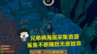漂哥游戏,解锁无尽冒险(图2) 漂哥游戏,解锁无尽冒险(图2)