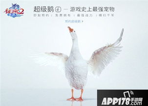 游戏白鹅,穿越时空的奇幻冒险之旅(图1) 游戏白鹅,穿越时空的奇幻冒险之旅(图1)